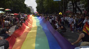 Participants holding a large rainbow flag at a pride parade in a tree-lined urban street