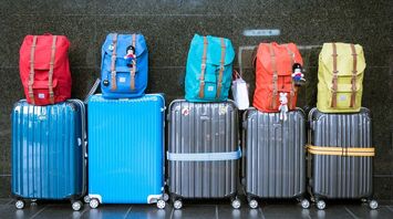 Backpacks and suitcases lined up on the floor