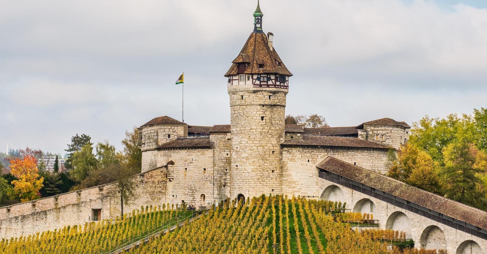 A medieval stone fortress with a prominent tower surrounded by autumnal vineyards