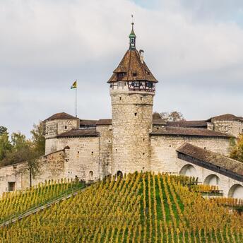 A medieval stone fortress with a prominent tower surrounded by autumnal vineyards