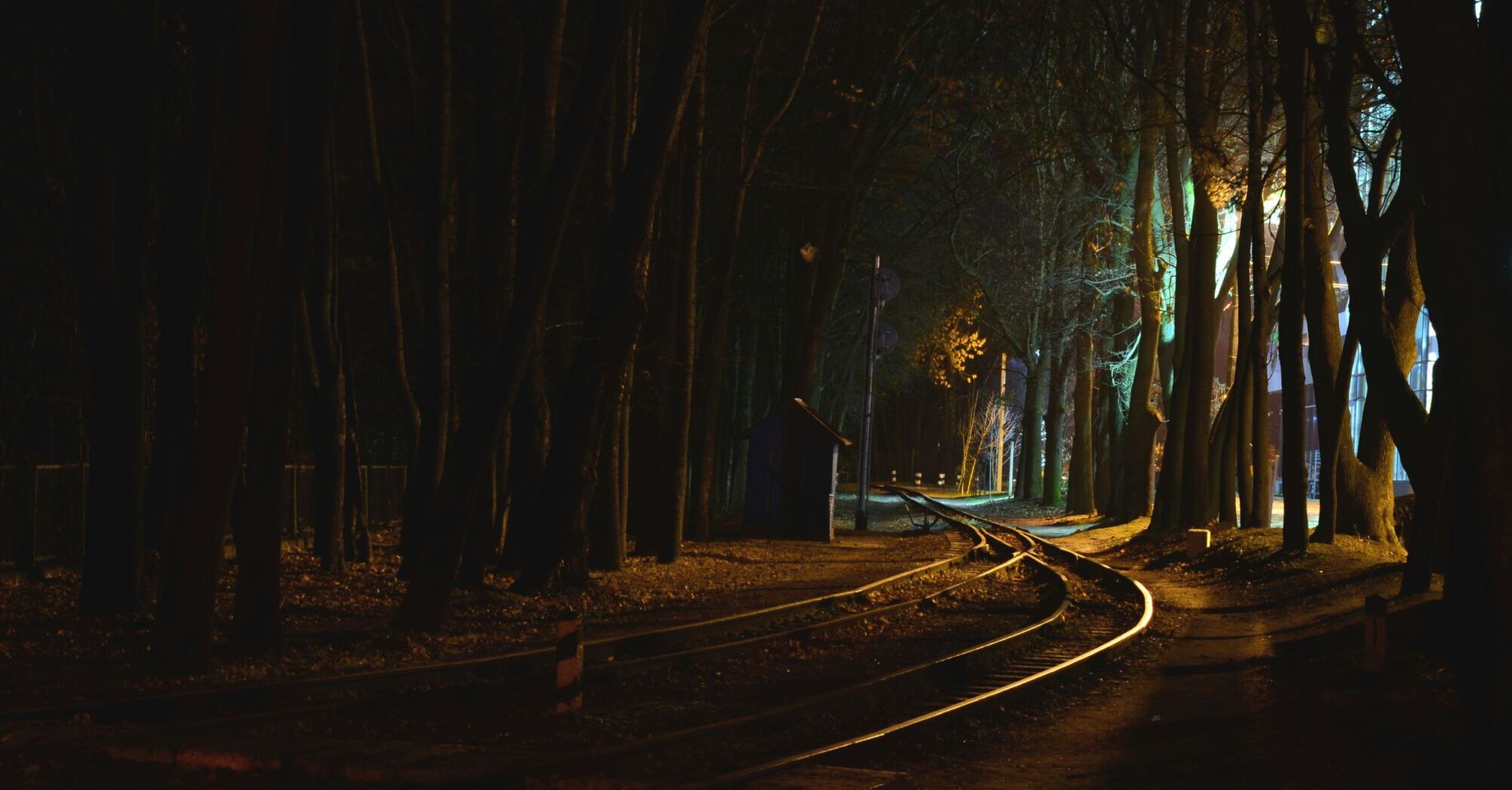 Rails among the trees, railway in dark with light