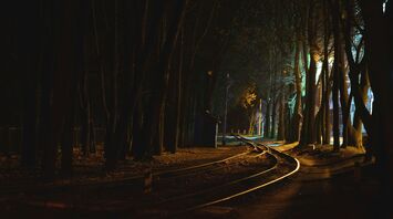 Rails among the trees, railway in dark with light
