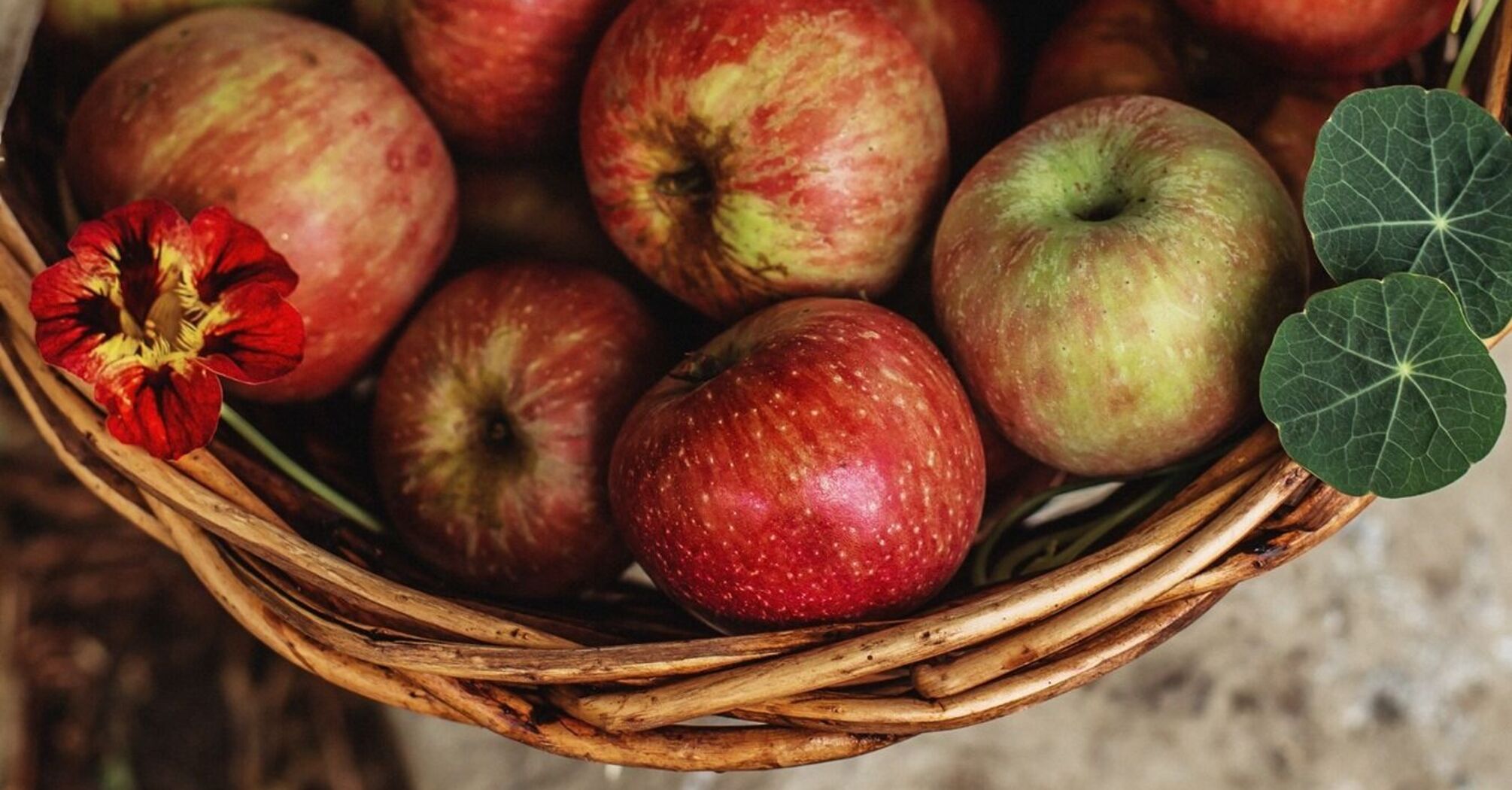 Los Angeles Apple-Picking Spots: Best Farms Near LA This Fall