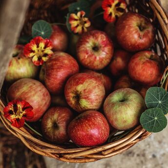 Los Angeles Apple-Picking Spots: Best Farms Near LA This Fall