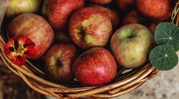 Los Angeles Apple-Picking Spots: Best Farms Near LA This Fall