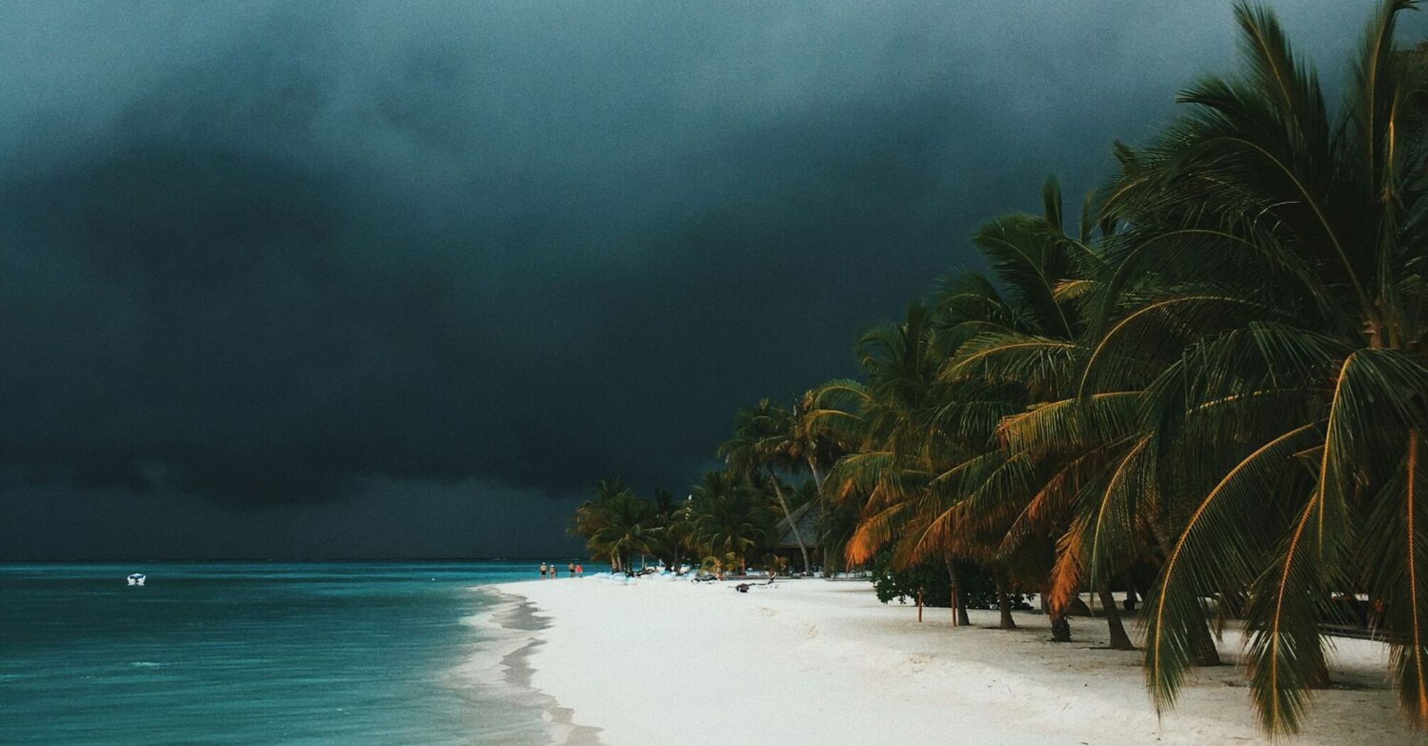 A tropical beach with dark storm clouds looming over the horizon, palm trees lining the shore, and calm turquoise waters