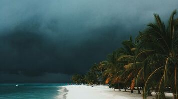 A tropical beach with dark storm clouds looming over the horizon, palm trees lining the shore, and calm turquoise waters