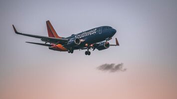A Southwest Airlines plane flying at sunset with palm trees in the foreground