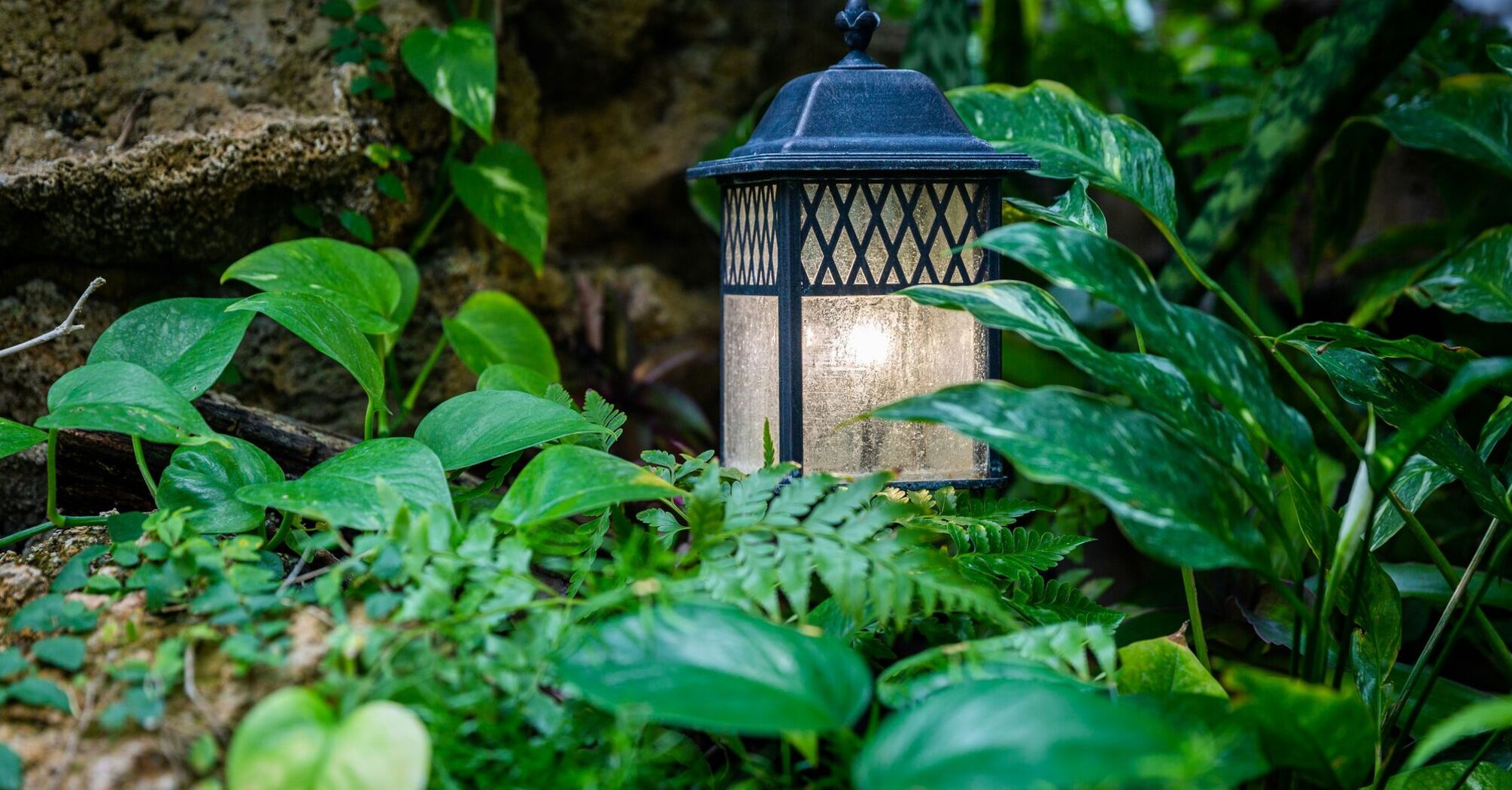 During the exhibit "Butterflies of the Nile" at the Krohn Conservatory, Cincinnati, Ohio, USA