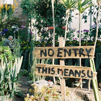 Domain Wintergardens, Auckland, New Zealand