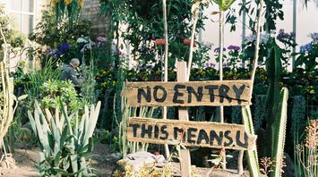 Domain Wintergardens, Auckland, New Zealand