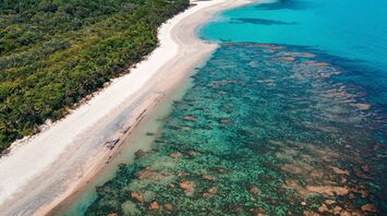 Aerial view of a secluded white sandy beach bordered by lush green forest on one side and vibrant coral reefs on the other, leading into turquoise blue waters
