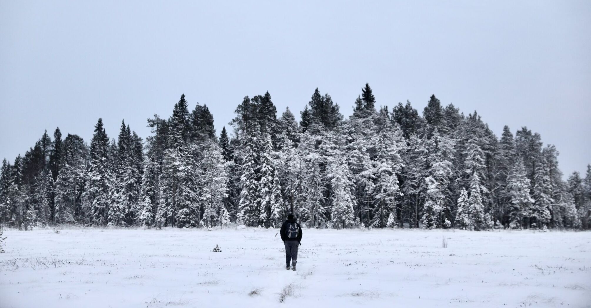 A person walking through a snowy forest in Finland, surrounded by tall, snow-covered trees under a gray sky