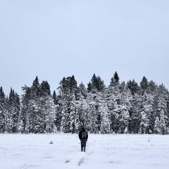 A person walking through a snowy forest in Finland, surrounded by tall, snow-covered trees under a gray sky