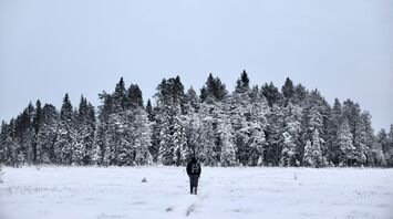 A person walking through a snowy forest in Finland, surrounded by tall, snow-covered trees under a gray sky