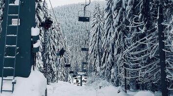 A ski lift surrounded by snow-covered trees in a serene mountain setting