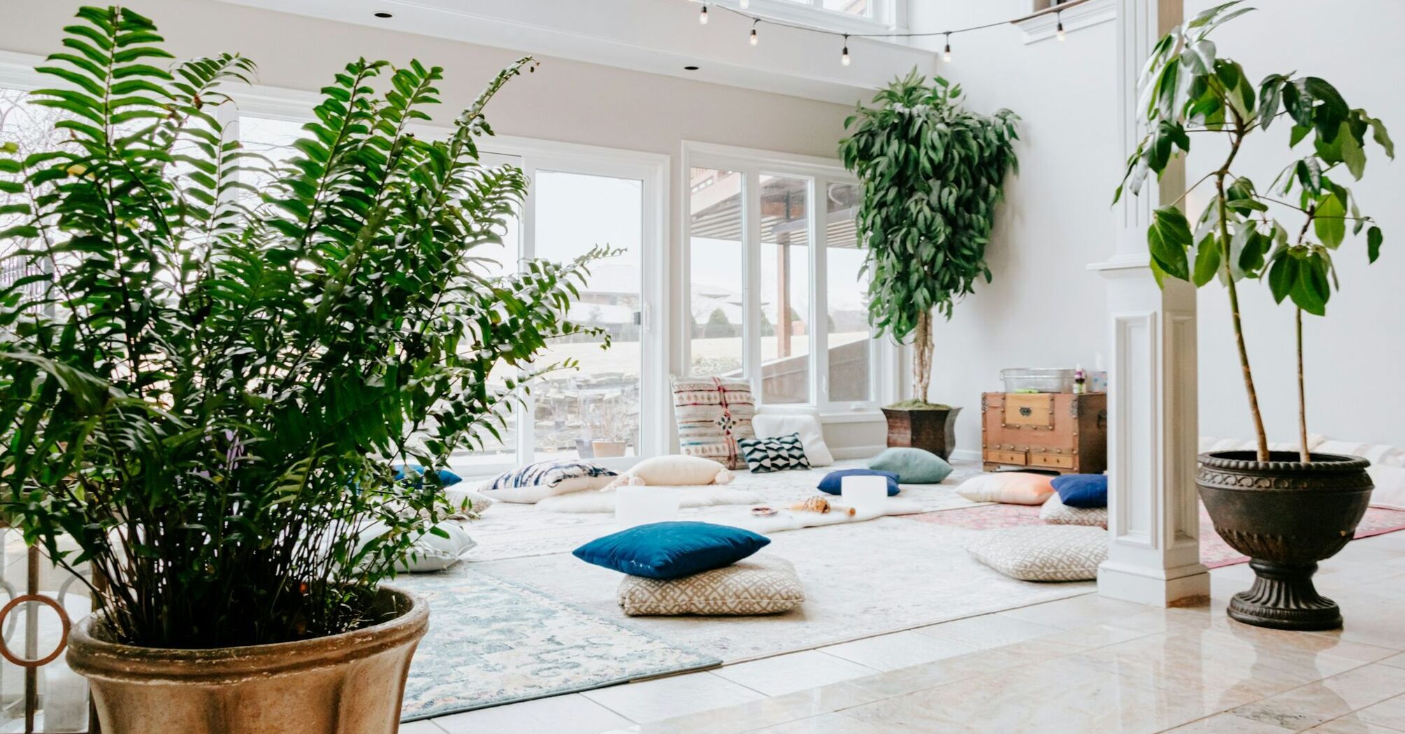 A serene wellness retreat space with large windows, lush indoor plants, cozy cushions, and natural light creating a tranquil atmosphere