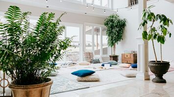 A serene wellness retreat space with large windows, lush indoor plants, cozy cushions, and natural light creating a tranquil atmosphere