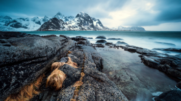 Rugged Arctic shoreline with snow-capped mountains in Lofoten, Norway