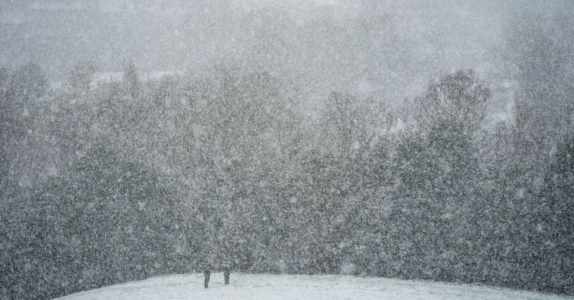 Heavy snowfall obscures a wooded landscape with two people walking through the snow-covered ground