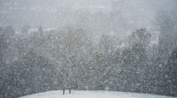 Heavy snowfall obscures a wooded landscape with two people walking through the snow-covered ground