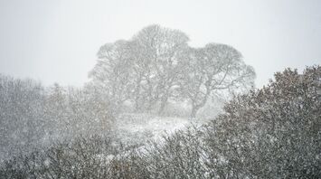 A snowy landscape with bare trees shrouded in heavy snowfall, indicating harsh winter conditions