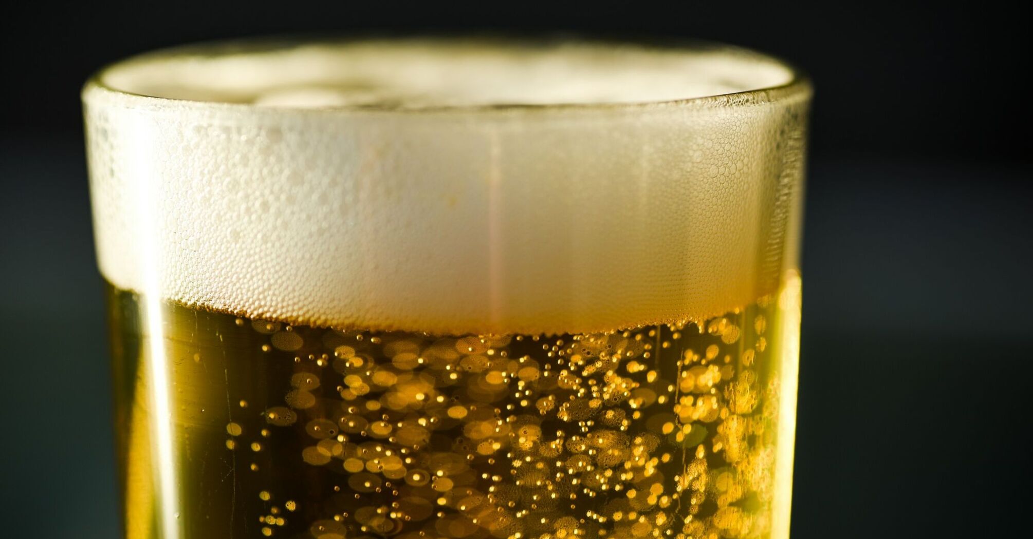 A glass of golden beer with foam on top