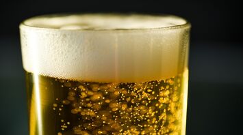 A glass of golden beer with foam on top