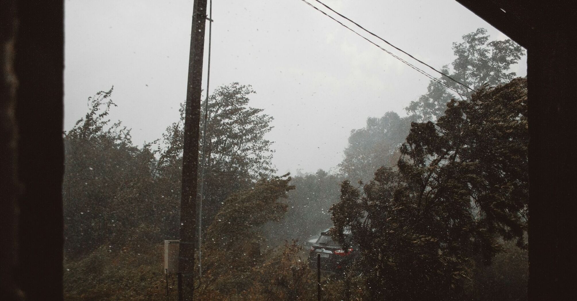 Windy weather with trees bending during a storm