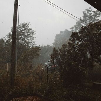 Windy weather with trees bending during a storm