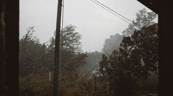 Windy weather with trees bending during a storm