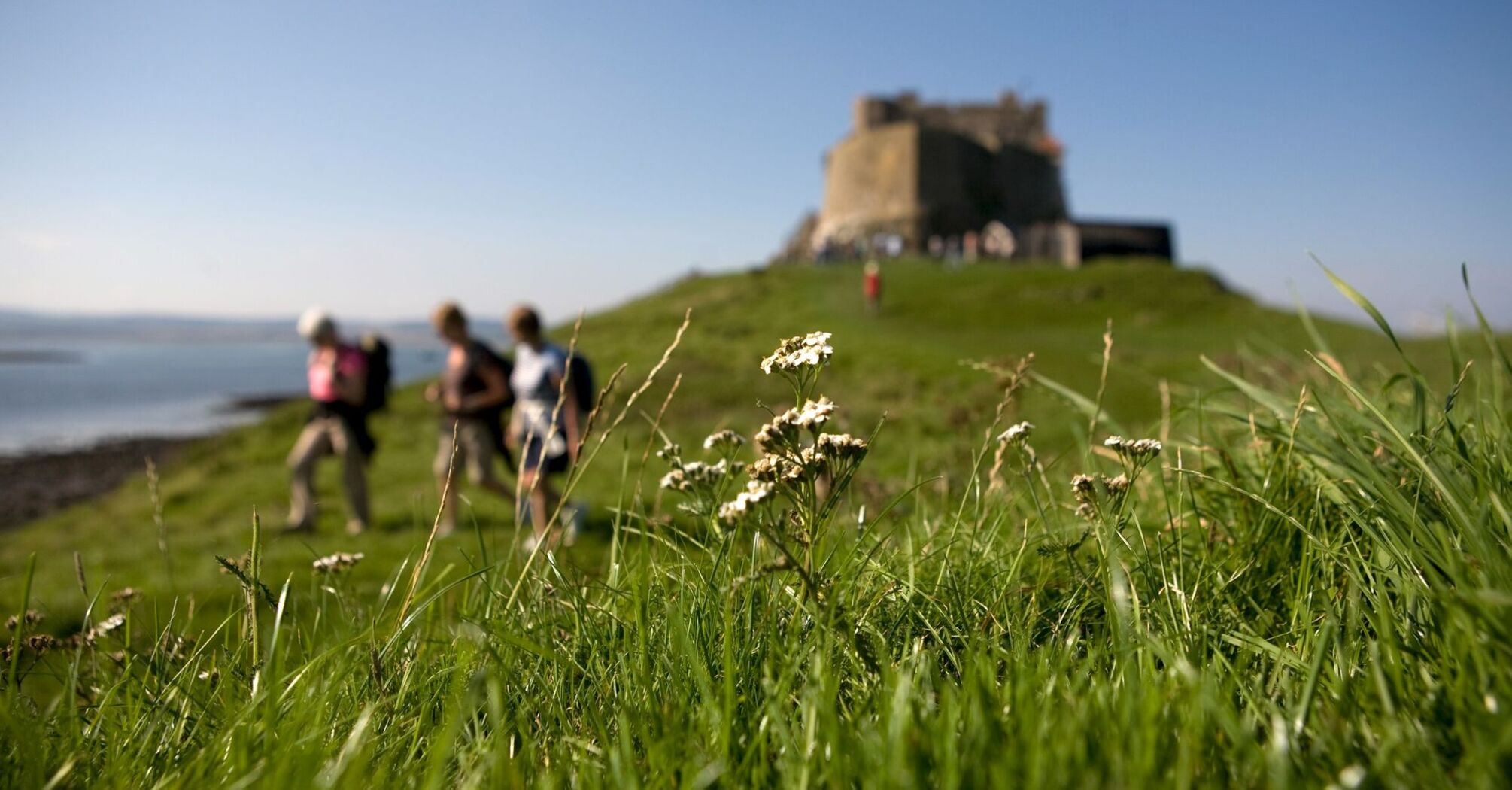 Hikers walking near a historic castle on a grassy hill by the coast under a clear blue sky