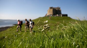 Hikers walking near a historic castle on a grassy hill by the coast under a clear blue sky
