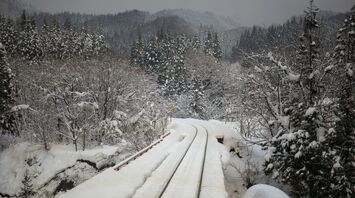 A snow-covered railway track passing through a forested area during winter, with trees and hills blanketed in snow