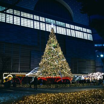 Large illuminated Christmas tree near Airport’s outdoor area