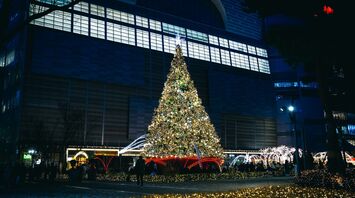 Large illuminated Christmas tree near Airport’s outdoor area