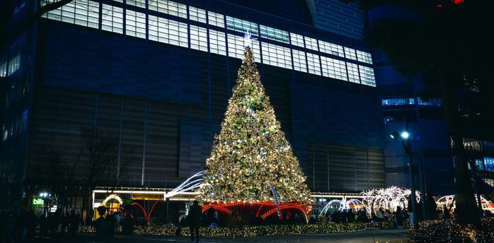 Large illuminated Christmas tree near Airport’s outdoor area