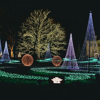 Illuminated trees and glowing light installations at a Christmas trail in North West England