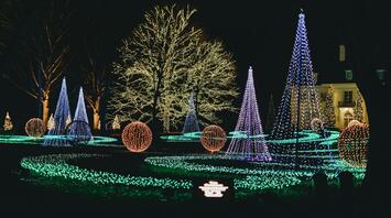 Illuminated trees and glowing light installations at a Christmas trail in North West England
