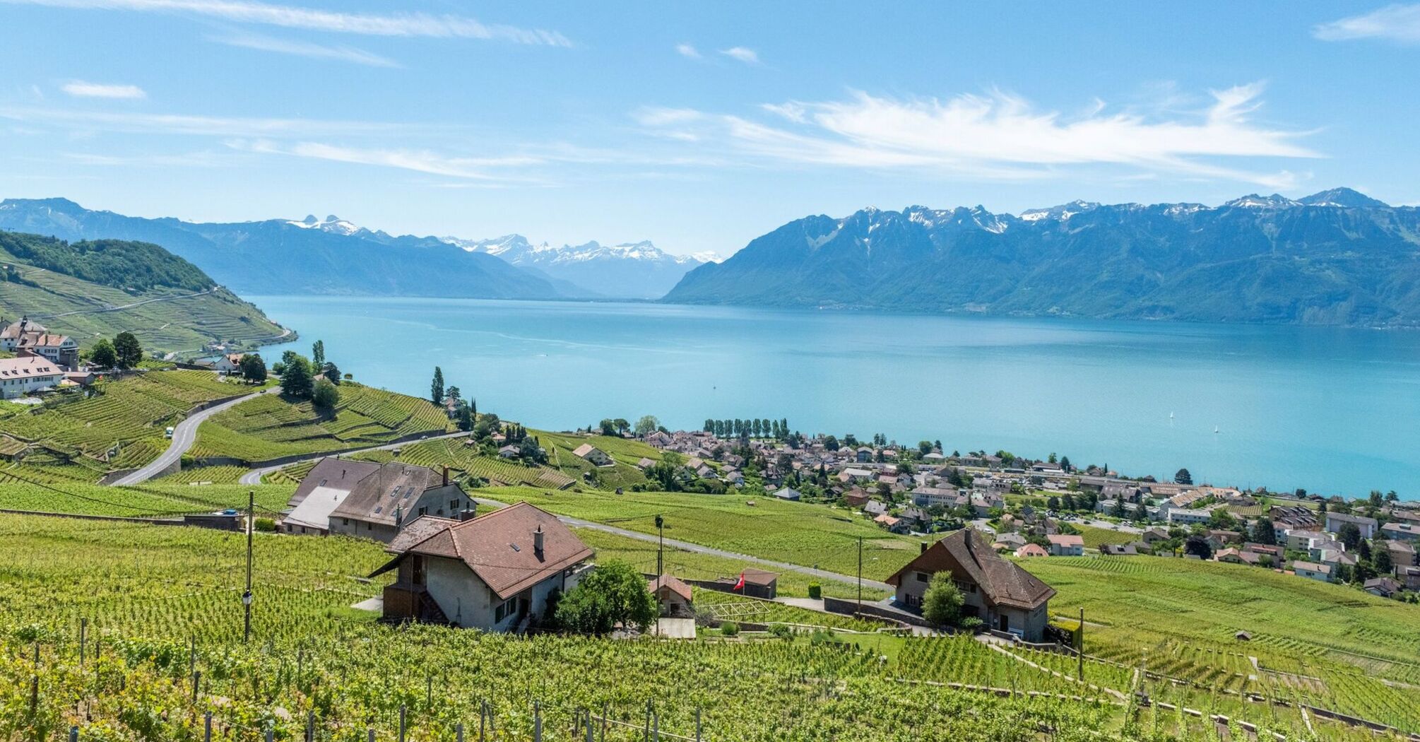 A vineyards overlooking Lake Geneva