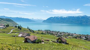 A vineyards overlooking Lake Geneva