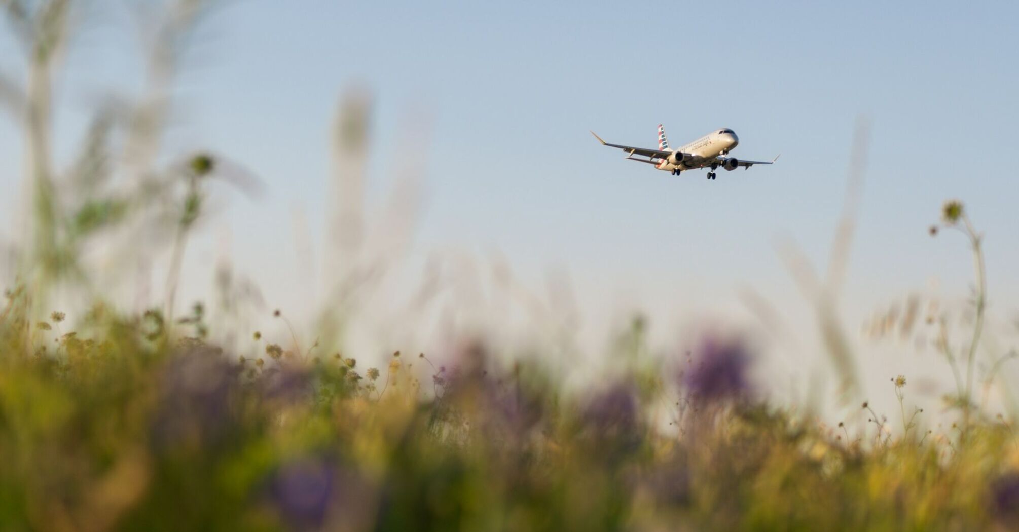 Airplane descending above spring meadow
