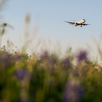 Airplane descending above spring meadow