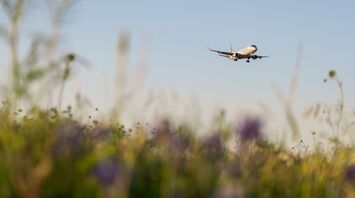 Airplane descending above spring meadow