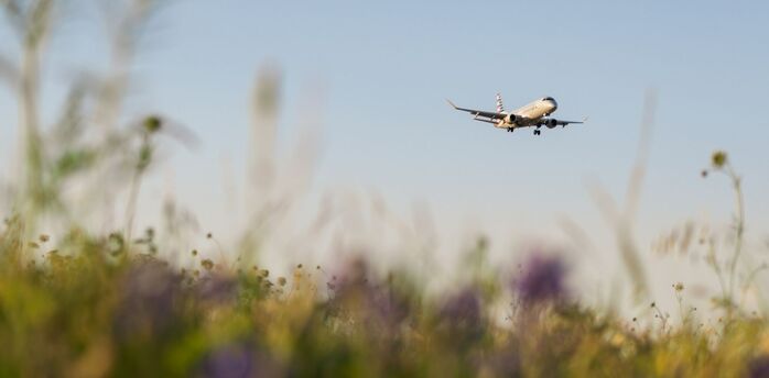 Airplane descending above spring meadow