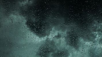 Rain and low visibility affecting travel conditions