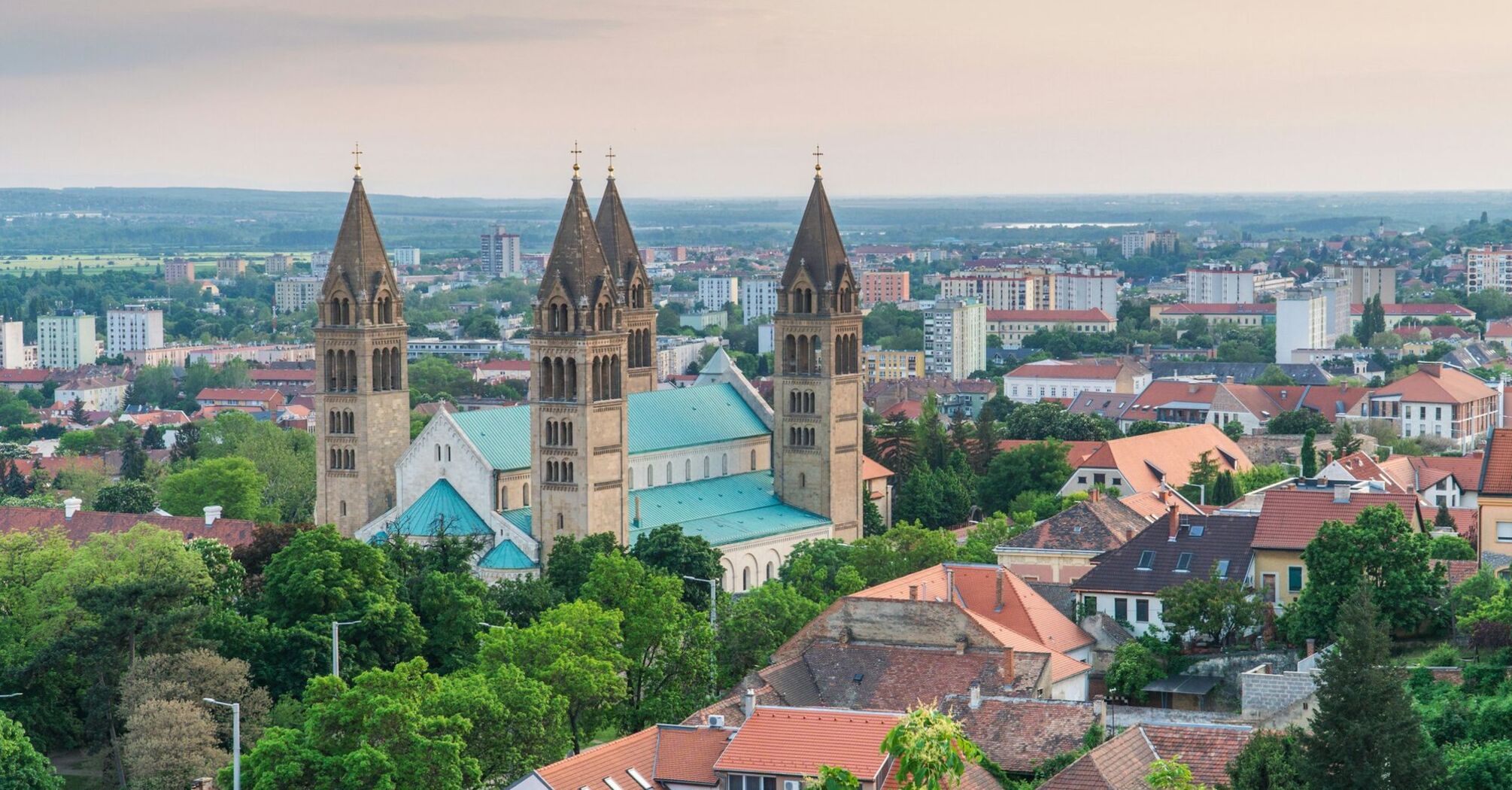 Pécs Cathedral and surrounding residential districts