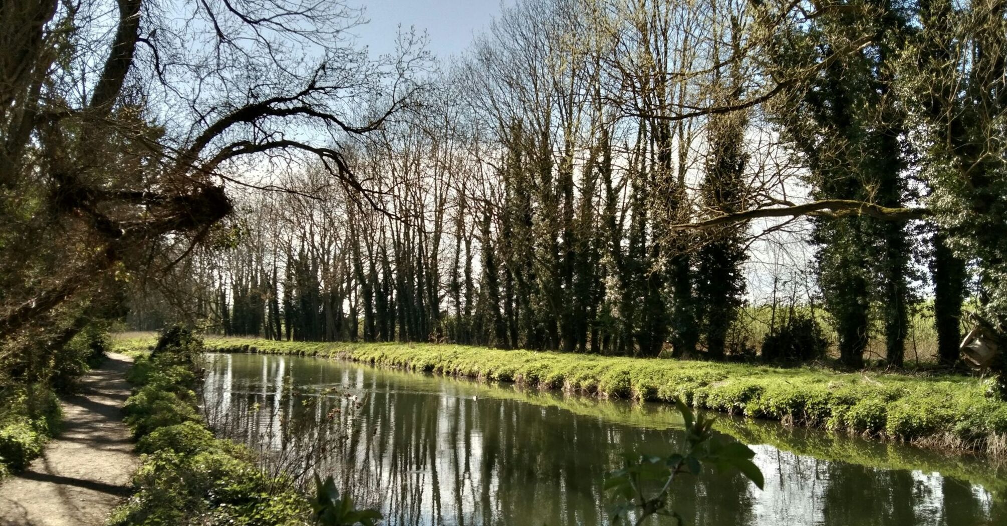 Riverside footpath running beside a calm tree-lined section of the river on a bright day