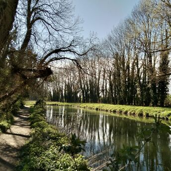 Riverside footpath running beside a calm tree-lined section of the river on a bright day
