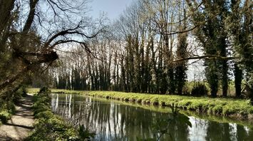 Riverside footpath running beside a calm tree-lined section of the river on a bright day